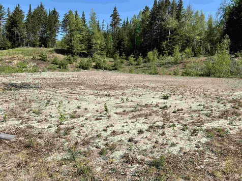 00 Vt Route 105 Bloomfield VT 05905