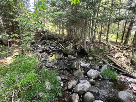 00 Vt Route 105 Bloomfield VT 05905