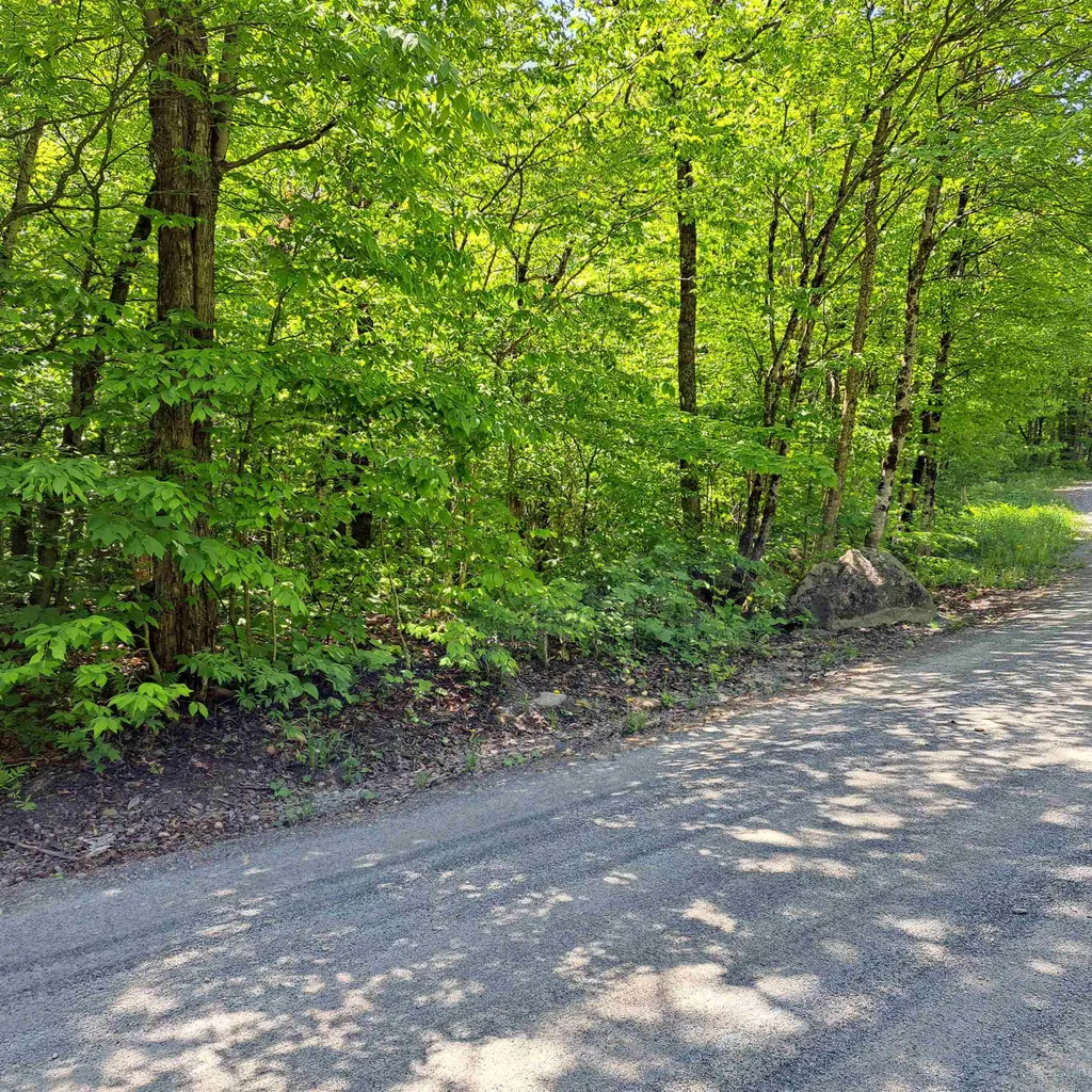 142 & 167 Oberdorf Road Readsboro VT 05350