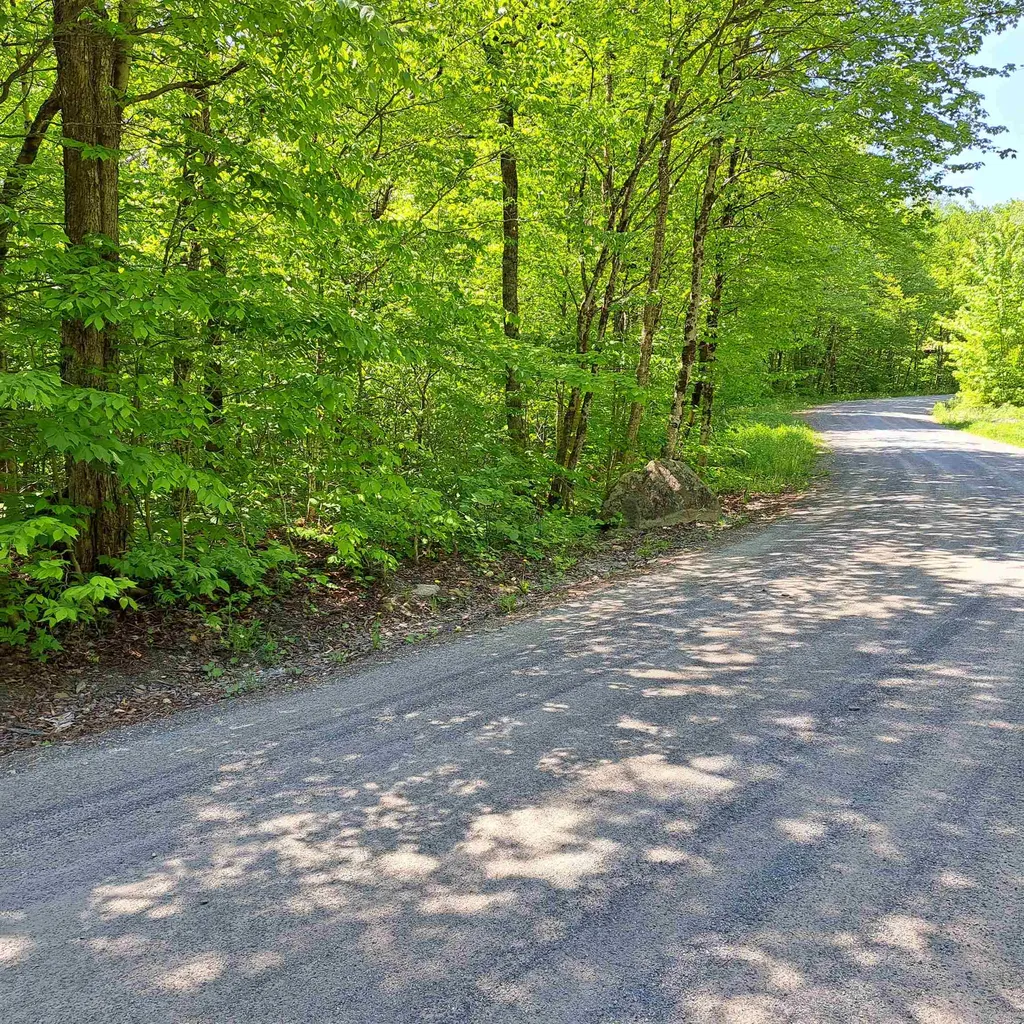142 & 167 Oberdorf Road Readsboro VT 05350