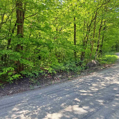142 & 167 Oberdorf Road Readsboro VT 05350