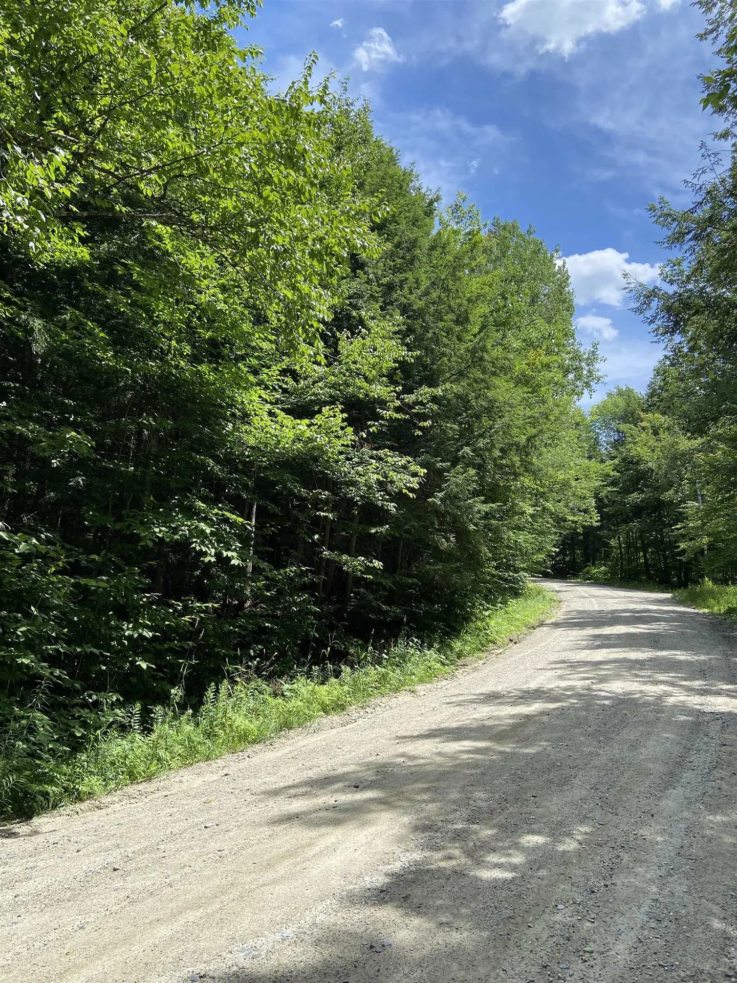 00 Norrie Davies Road Cavendish VT 05153