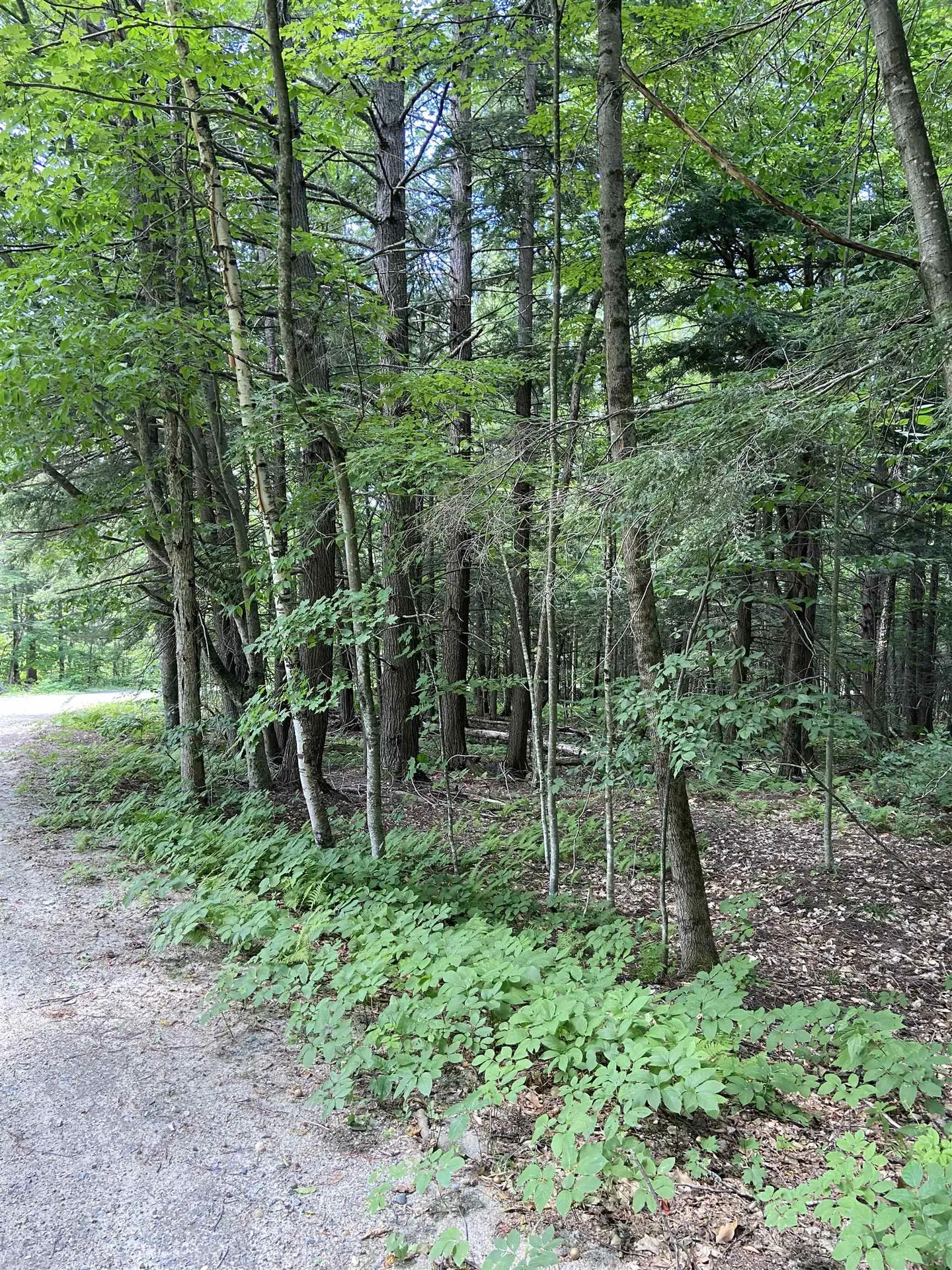 00 Norrie Davies Road Cavendish VT 05153