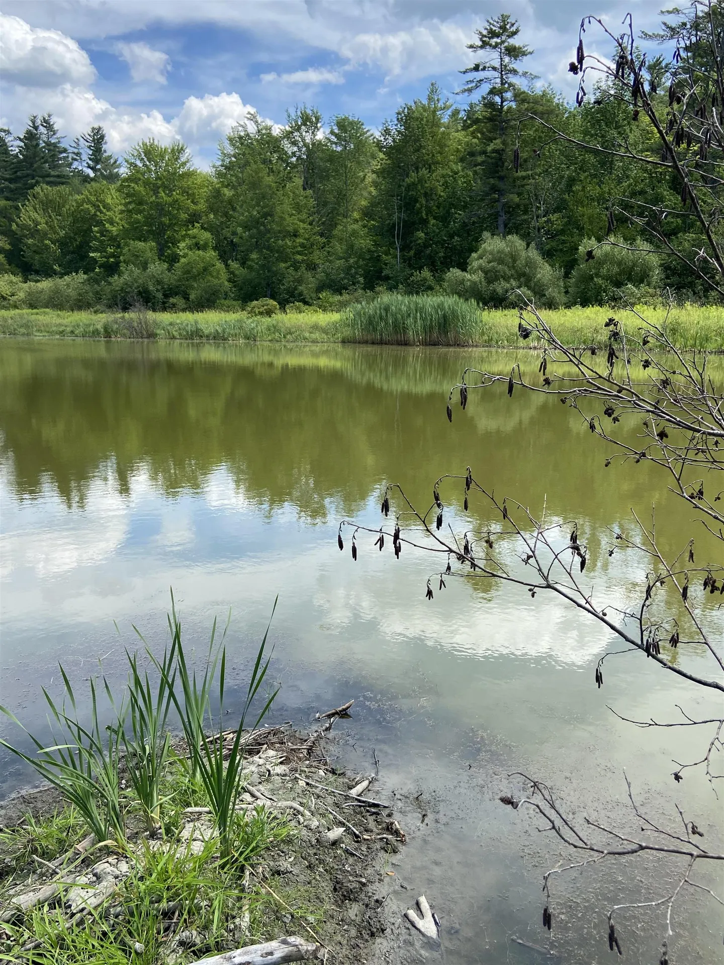 00 Norrie Davies Road Cavendish VT 05153