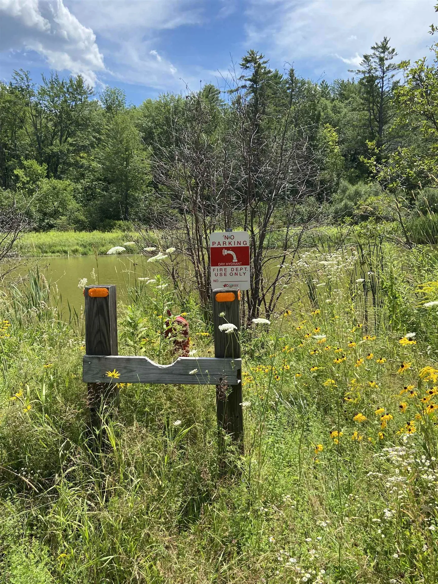 00 Norrie Davies Road Cavendish VT 05153