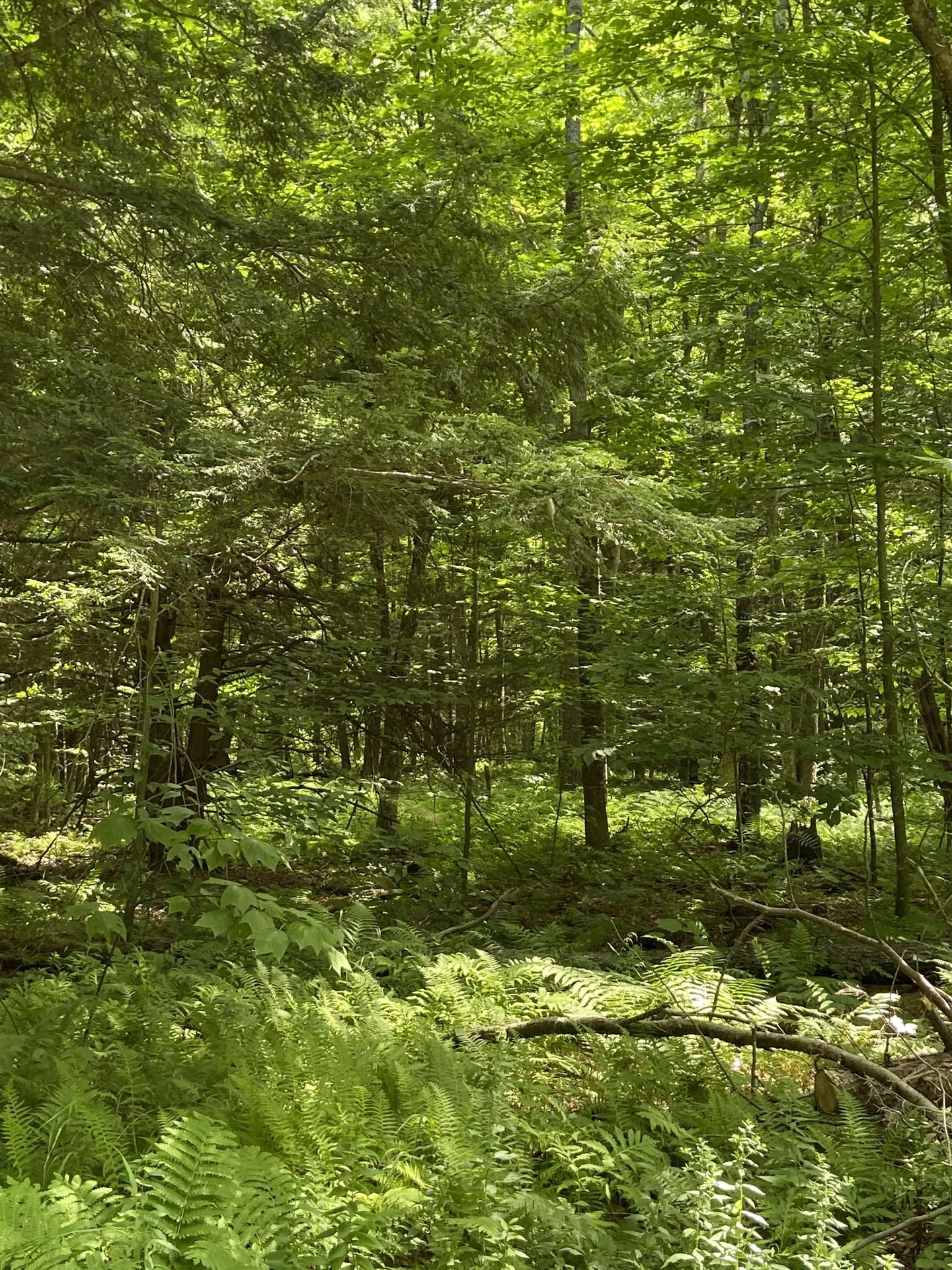 00 Norrie Davies Road Cavendish VT 05153