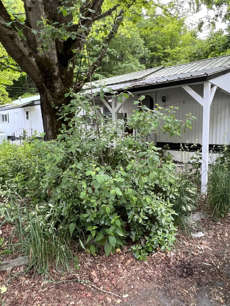 11 Crescent Drive Brattleboro VT 05301