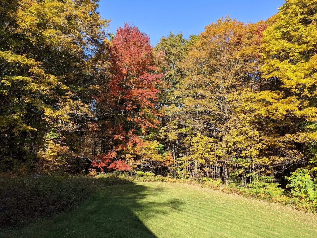 2258 Dartt Hill Road Bethel VT 05032