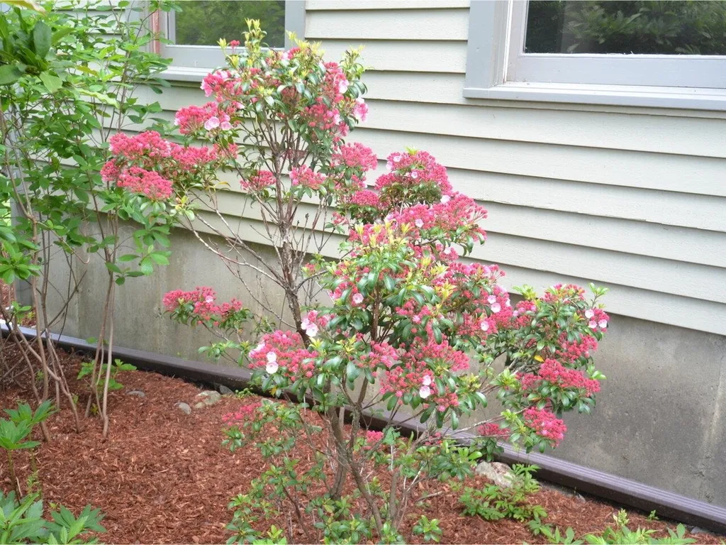 40 Paddock Lane Williston VT 05495
