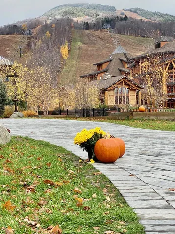 7412 Mountain Road Stowe VT 05672