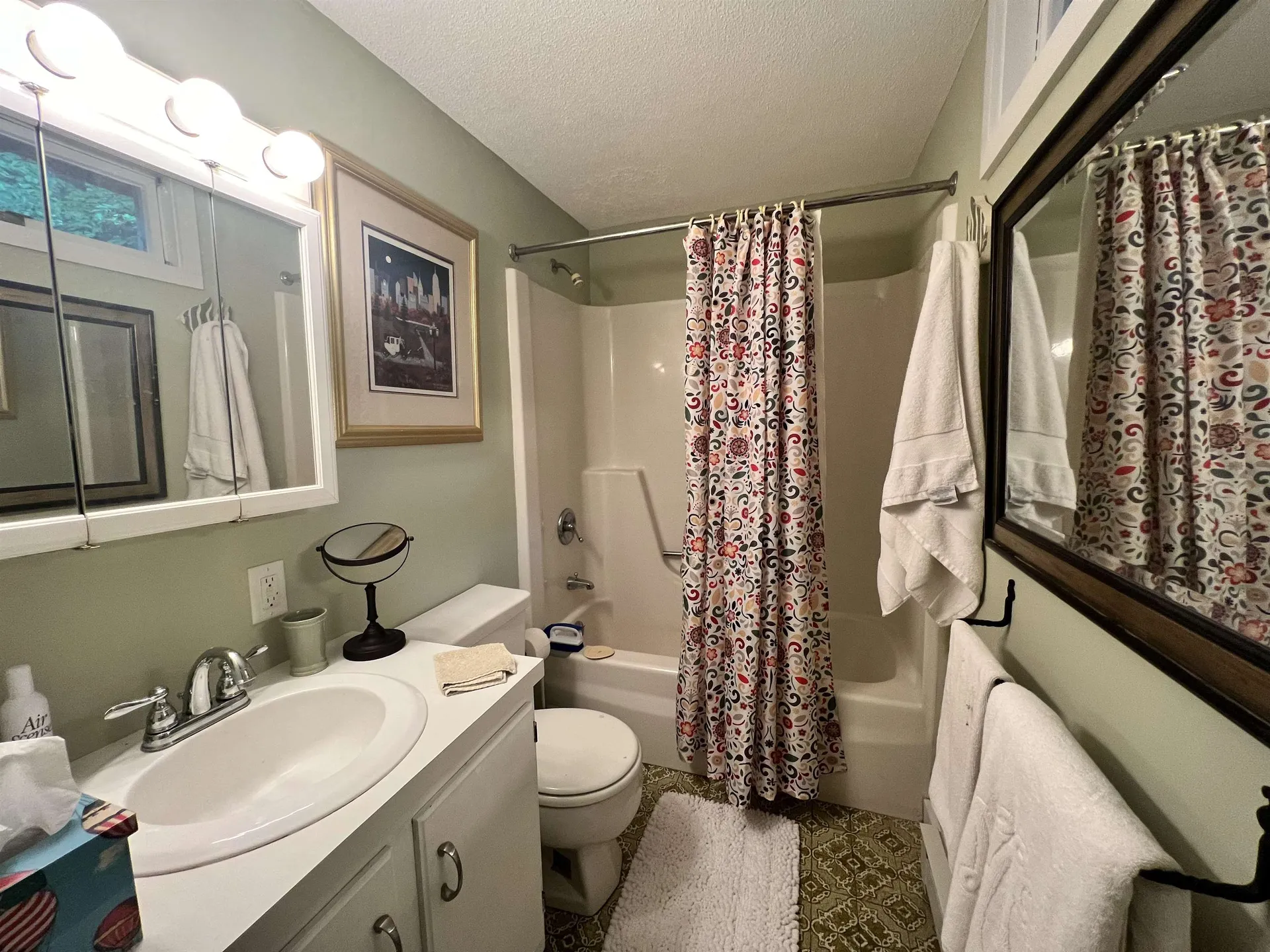 4 Hickory Overlook Enfield NH 03748
