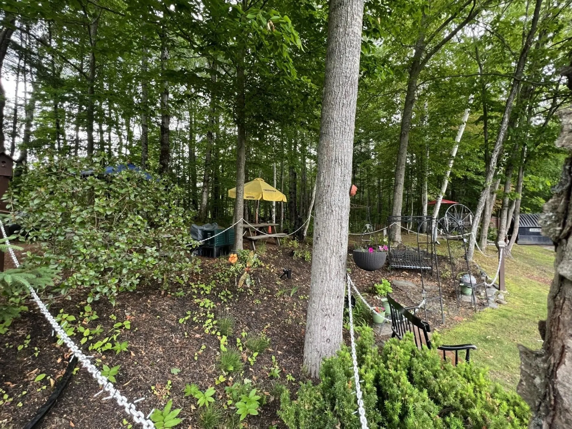 220 Mascoma Street Lebanon NH 03766