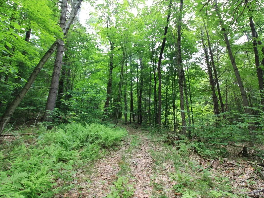 Lot 4 Piney Grove Lane Underhill VT 05489