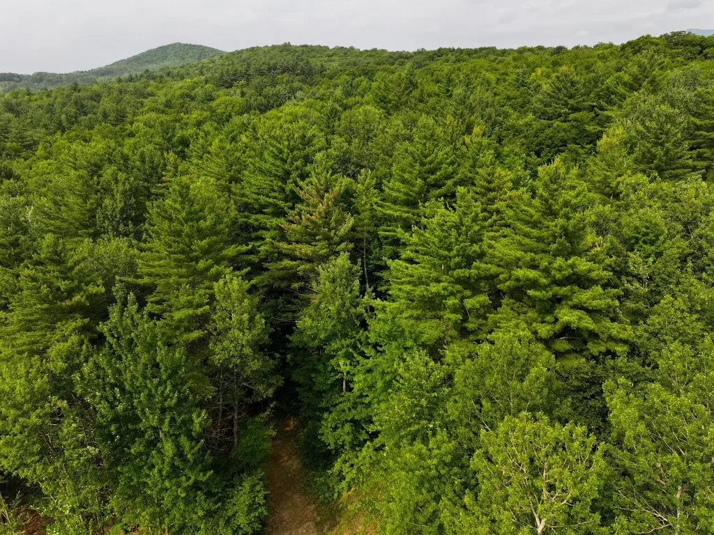 Lot 4 Piney Grove Lane Underhill VT 05489