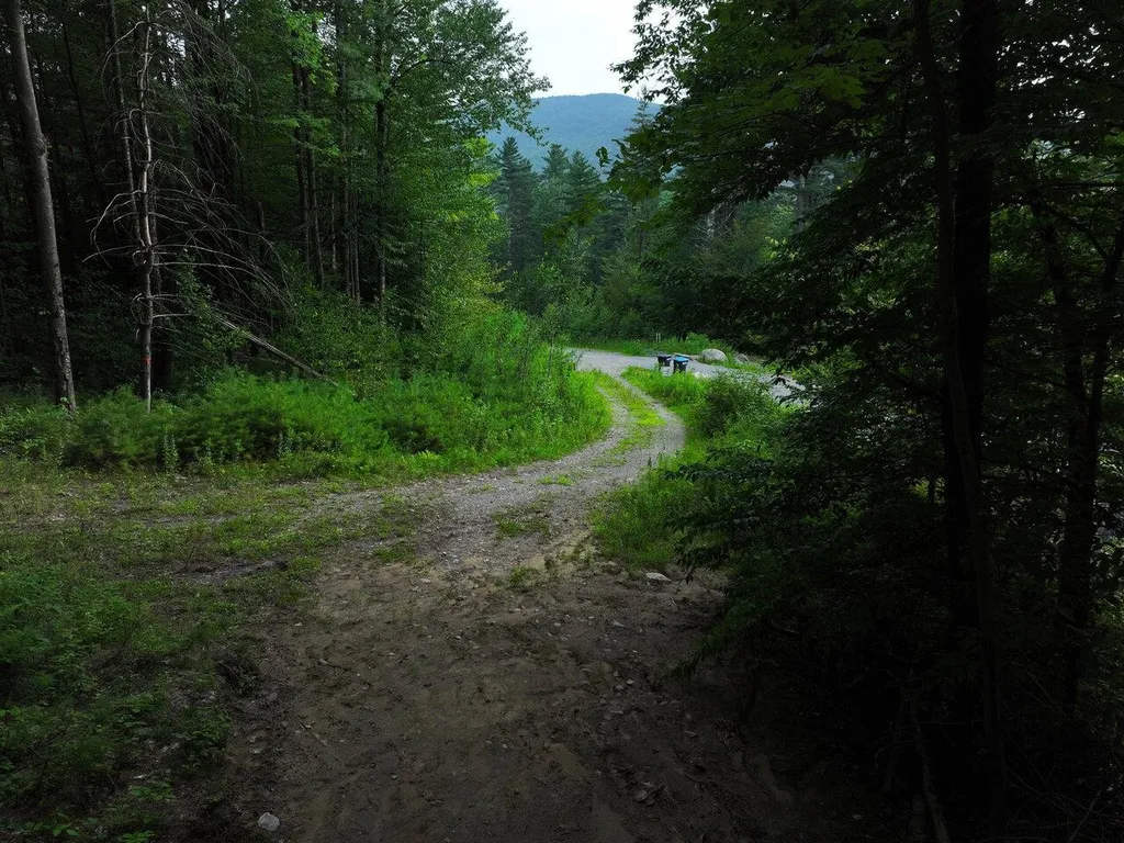 Lot 4 Piney Grove Lane Underhill VT 05489