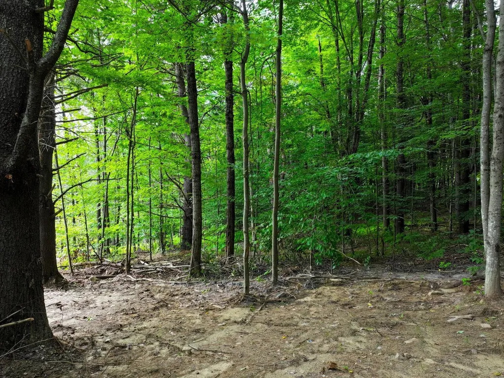 Lot 4 Piney Grove Lane Underhill VT 05489