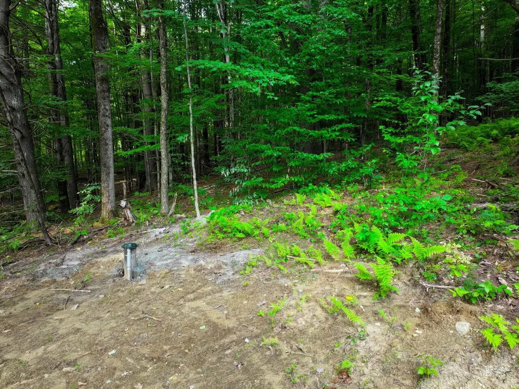 Lot 4 Piney Grove Lane Underhill VT 05489