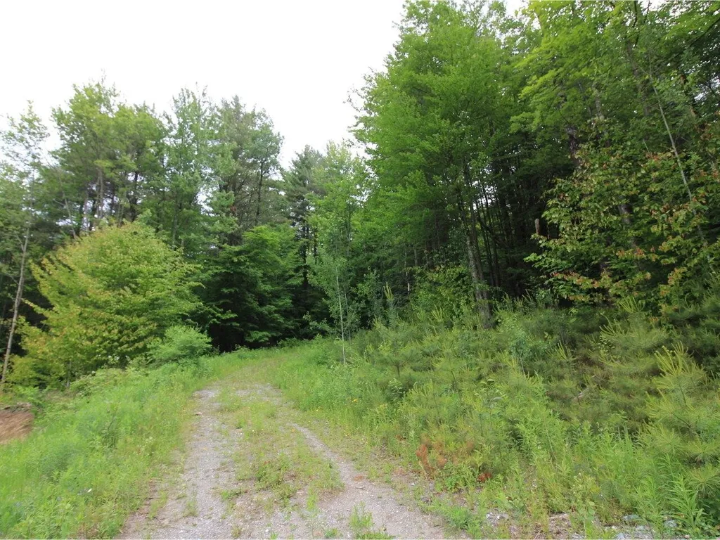 Lot 4 Piney Grove Lane Underhill VT 05489