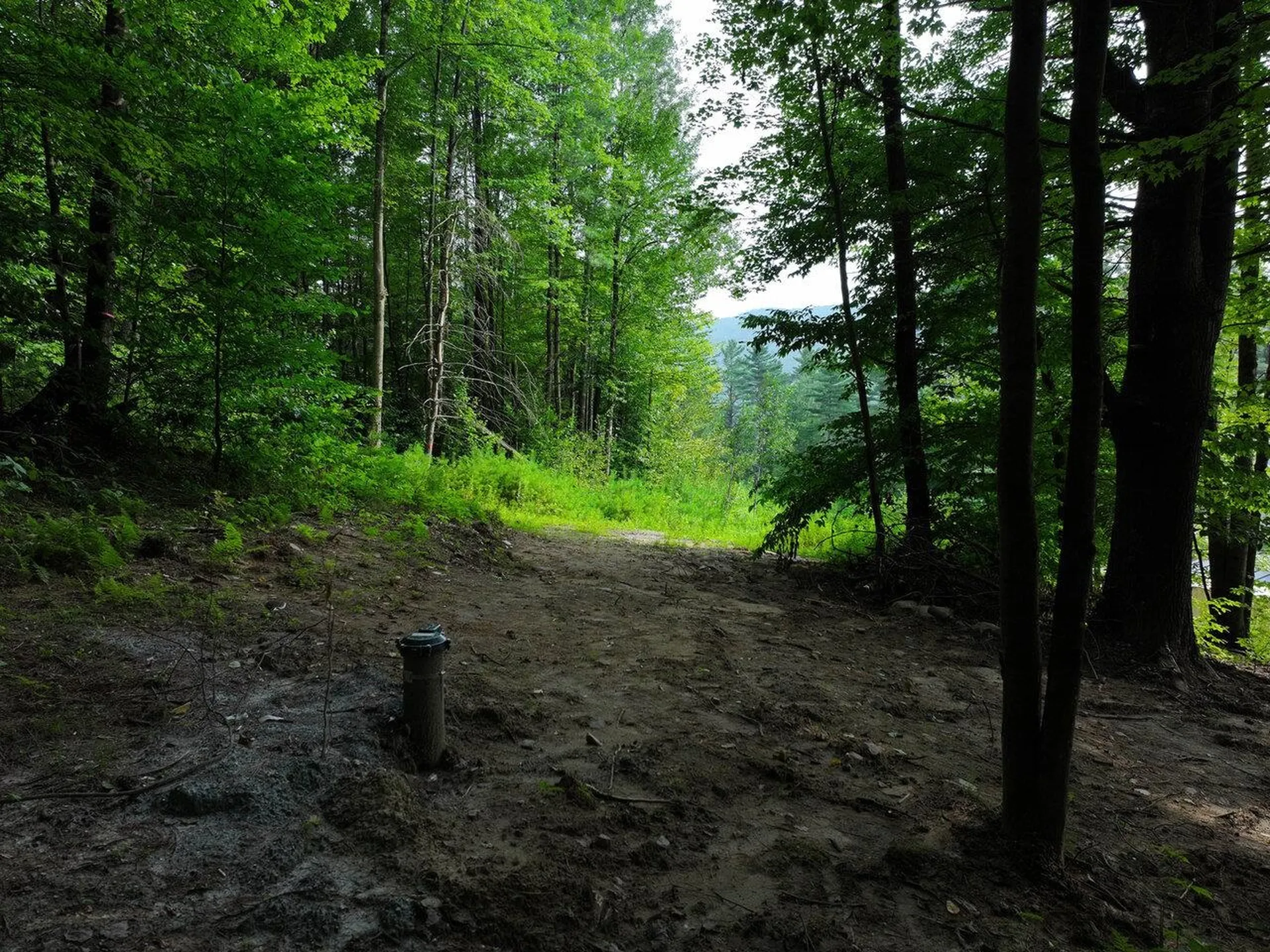 Lot 4 Piney Grove Lane Underhill VT 05489