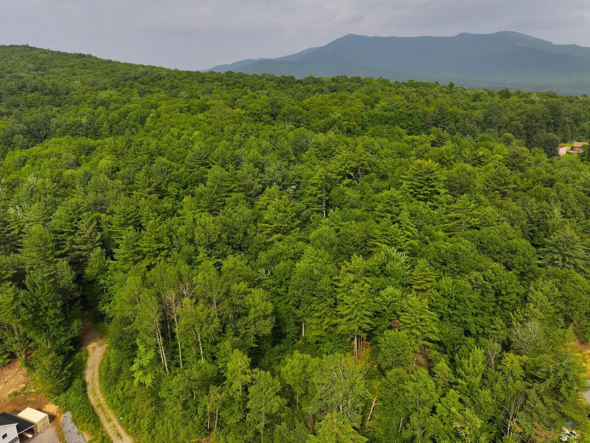 Lot 4 Piney Grove Lane Underhill VT 05489