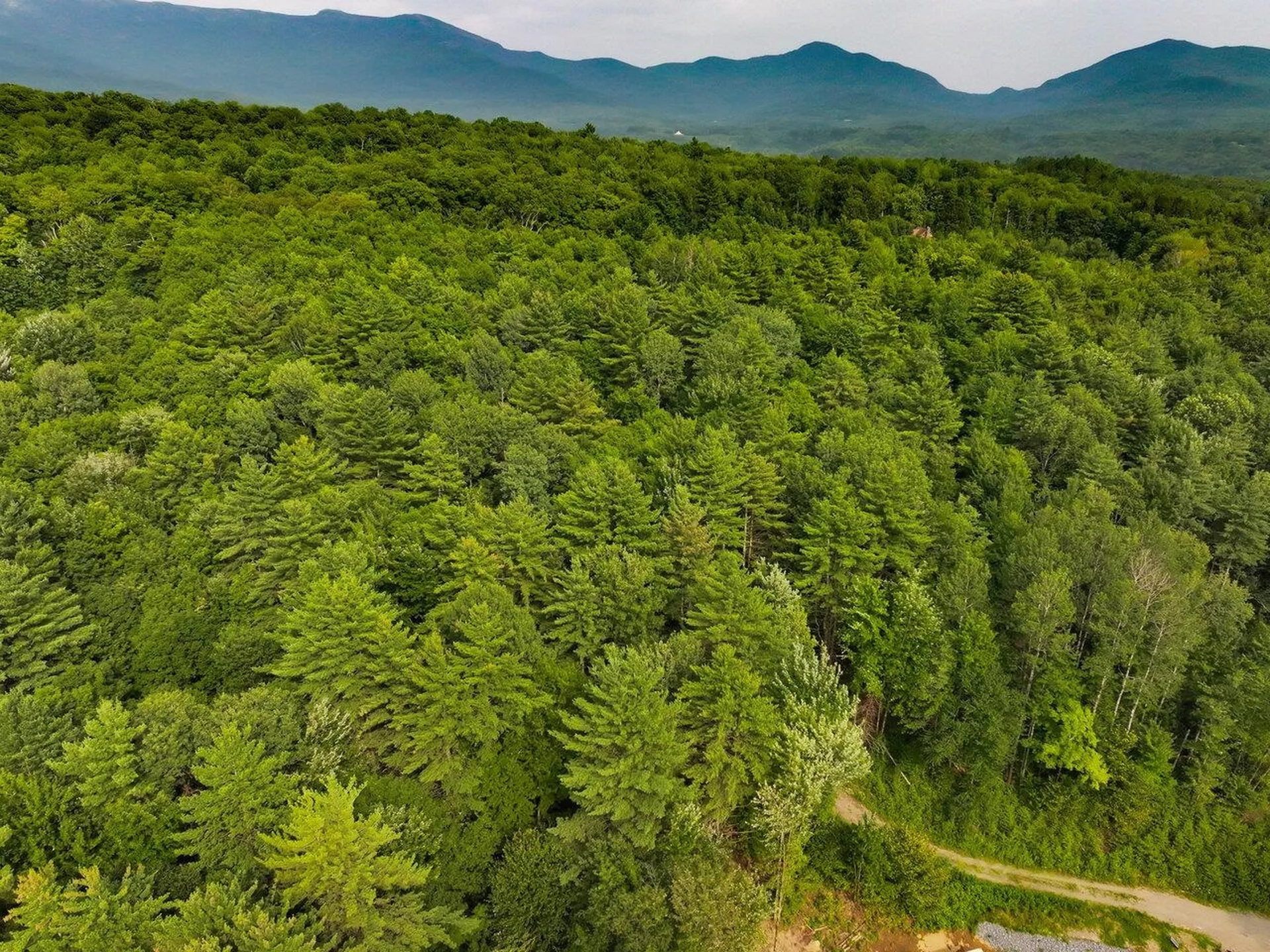 Lot 4 Piney Grove Lane Underhill VT 05489