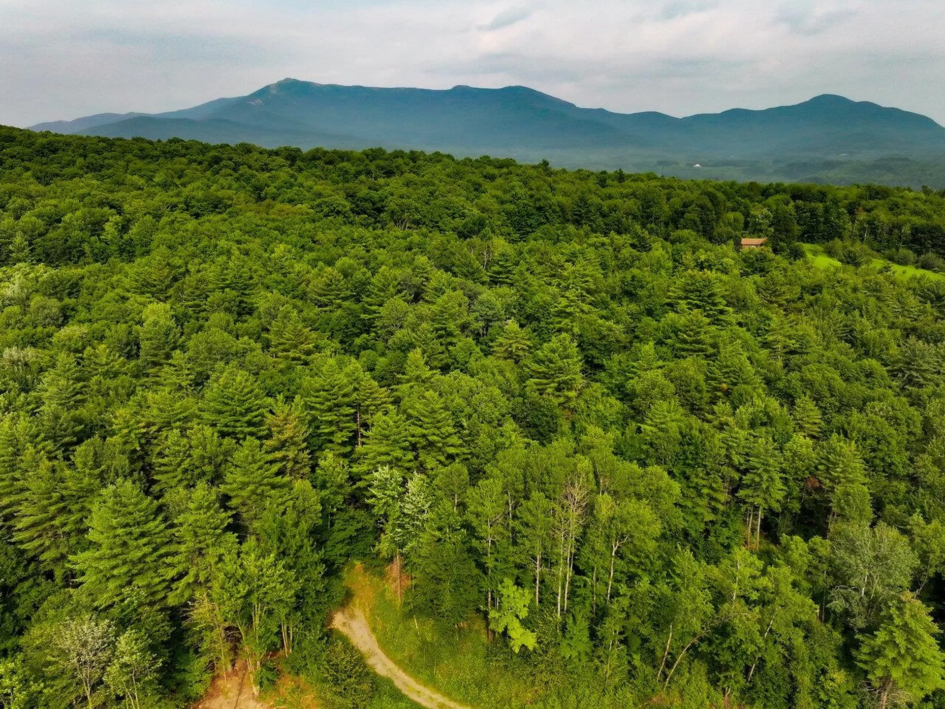 Lot 4 Piney Grove Lane Underhill VT 05489