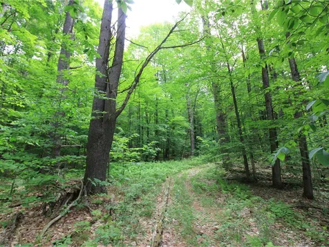 Lot 4 Piney Grove Lane Underhill VT 05489