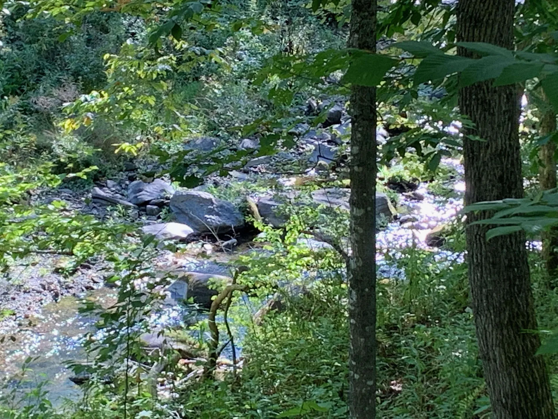 588 Kendall Road Woodstock VT 05091