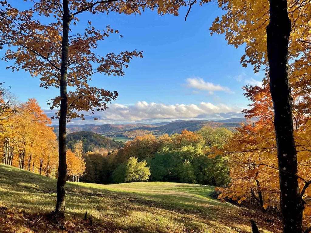 1671 Heath Road Corinth VT 05039
