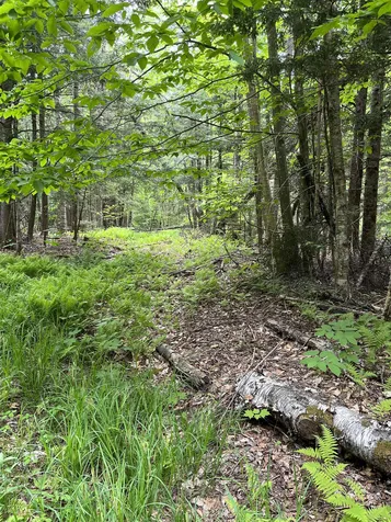 155 Stevens Mill Road Jay VT 05672