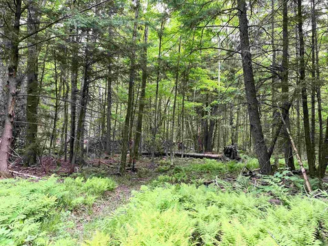 155 Stevens Mill Road Jay VT 05672