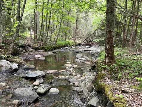 155 Stevens Mill Road Jay VT 05672