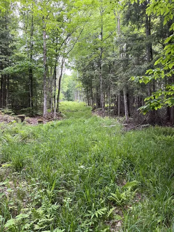 155 Stevens Mill Road Jay VT 05672