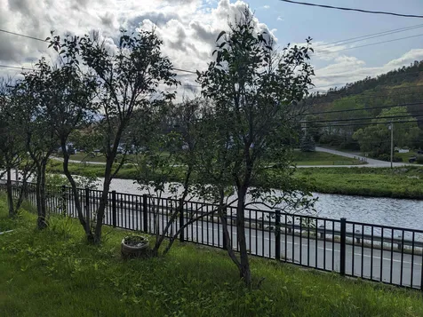 38 Acre Drive Landaff NH 03585