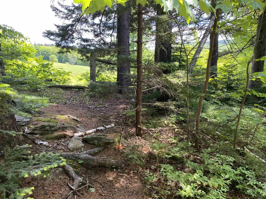 41 Rice Hill Road Dover VT 05341
