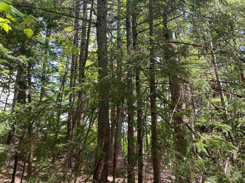 41 Rice Hill Road Dover VT 05341