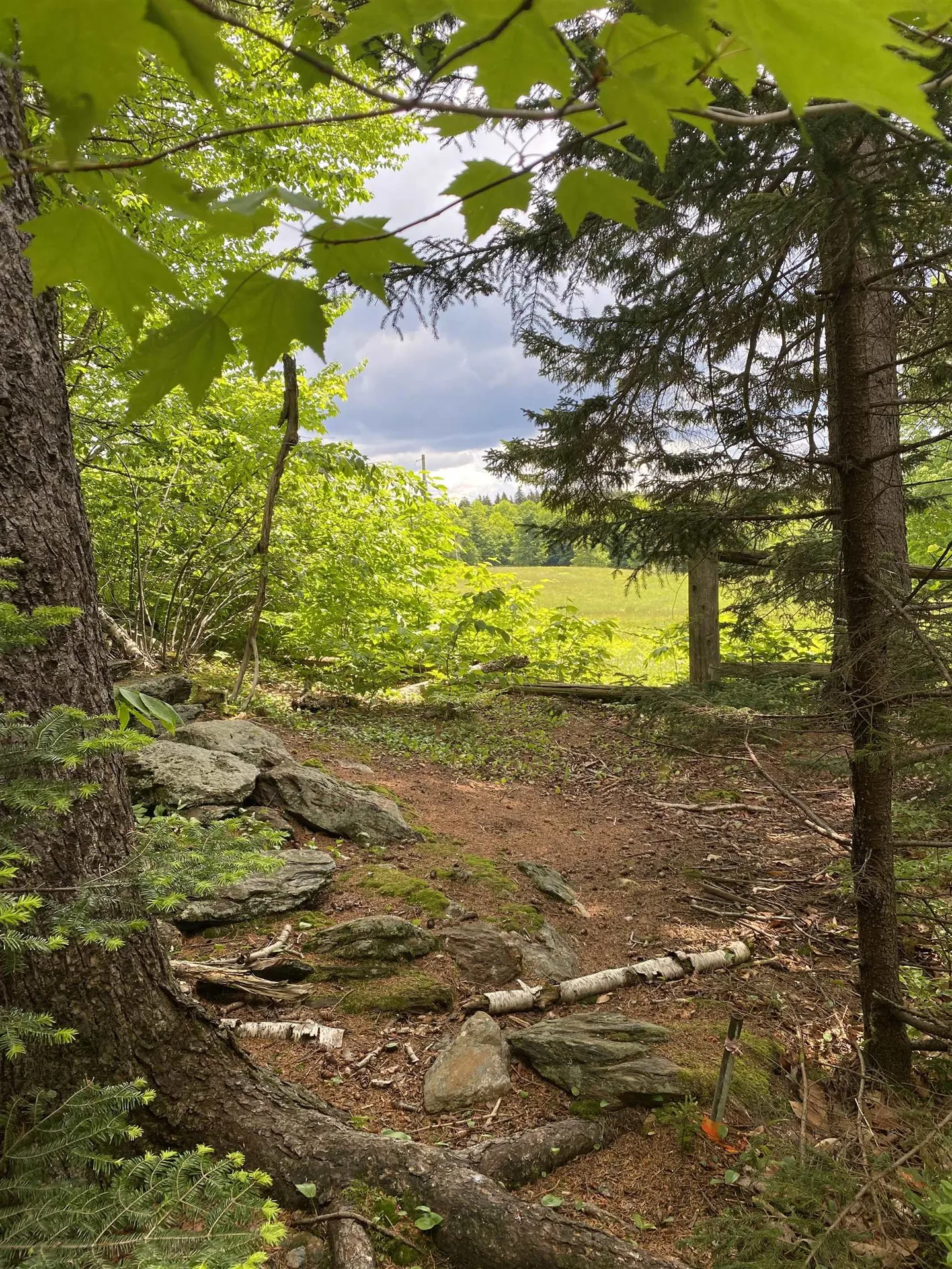 41 Rice Hill Road Dover VT 05341