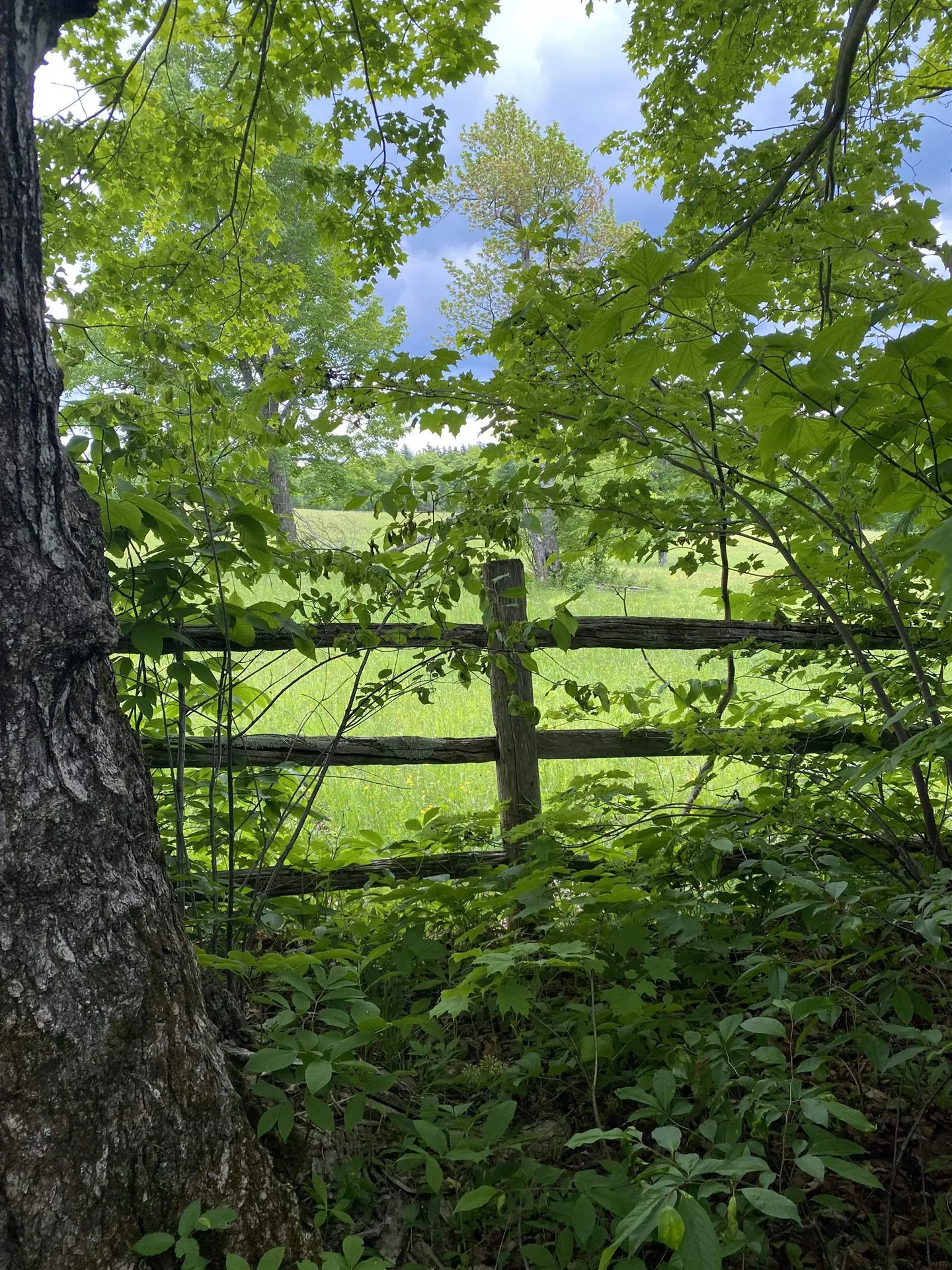 41 Rice Hill Road Dover VT 05341