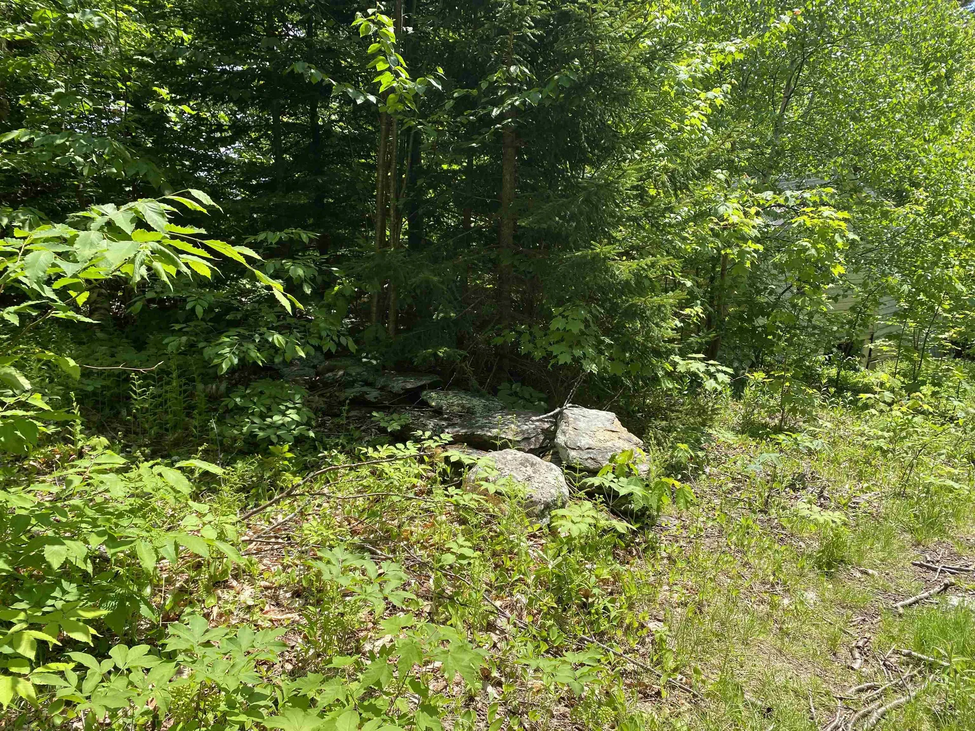 41 Rice Hill Road Dover VT 05341