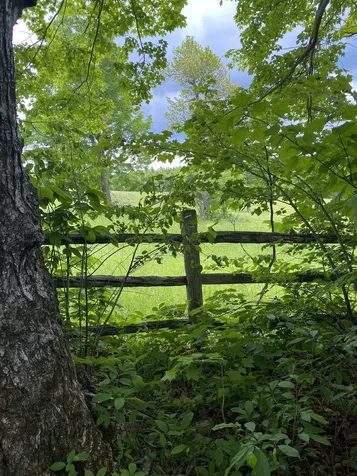 41 Rice Hill Road Dover VT 05341