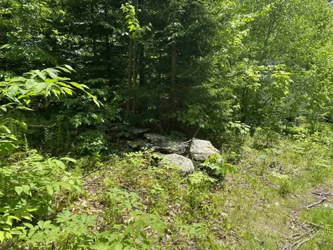 41 Rice Hill Road Dover VT 05341