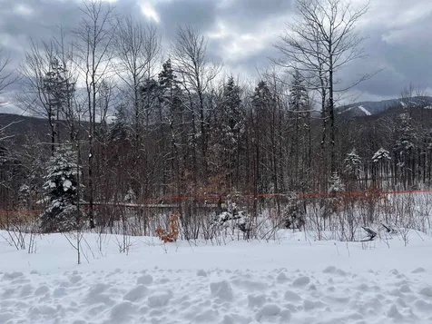 Gold Medal Circle Stratton VT 05155