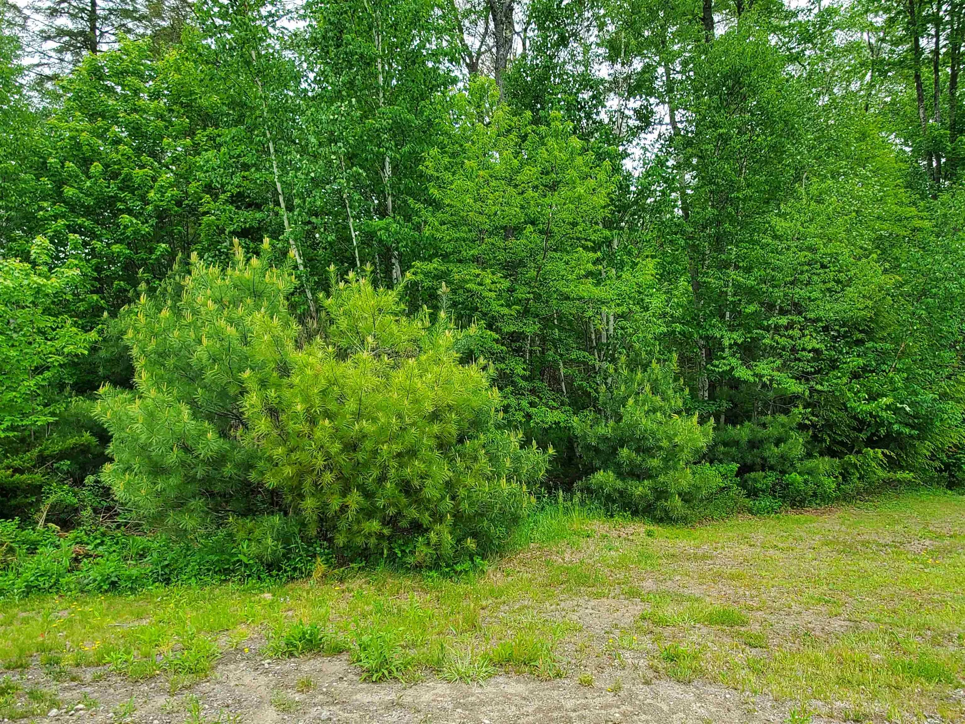 Lot 16 Strawbrook Lane Canaan NH 03741