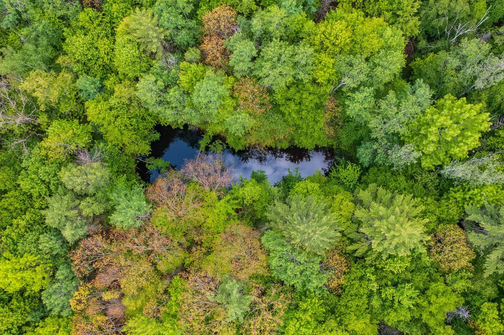 0 West Farms Road Canaan NH 03741