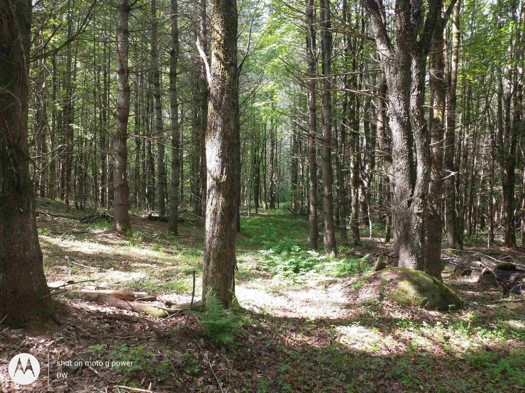 0 West Farms Road Canaan NH 03741