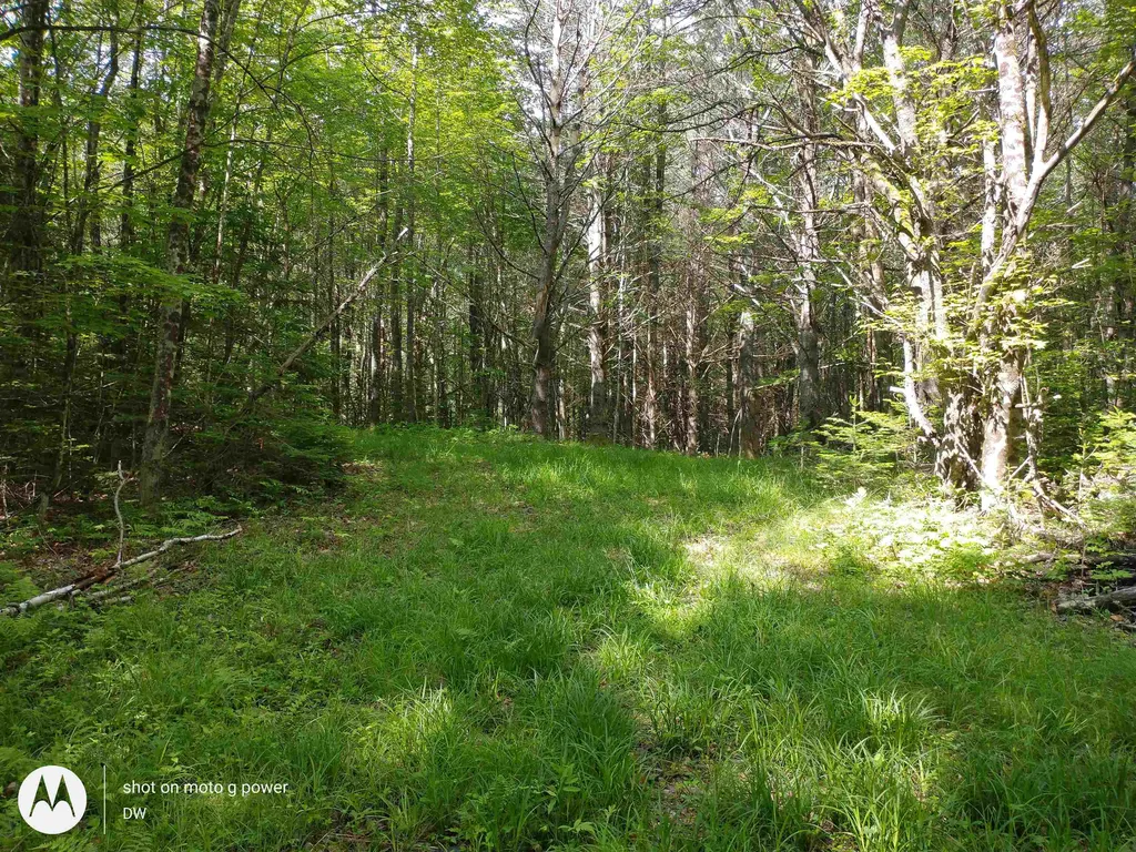 0 West Farms Road Canaan NH 03741