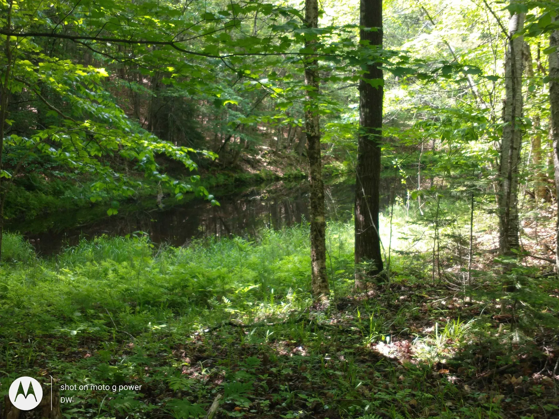 0 West Farms Road Canaan NH 03741