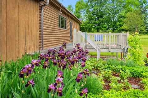 2637 Baptist Street Williamstown VT 05679