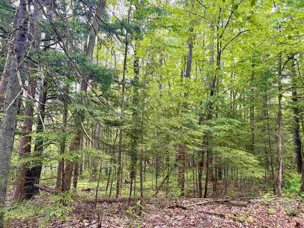 0 Tyler Farm Road Newbury VT 05051