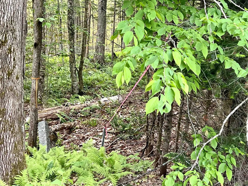 0 Tyler Farm Road Newbury VT 05051